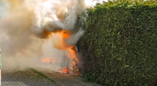 Felle brand in coniferenhaag in Witmarsum